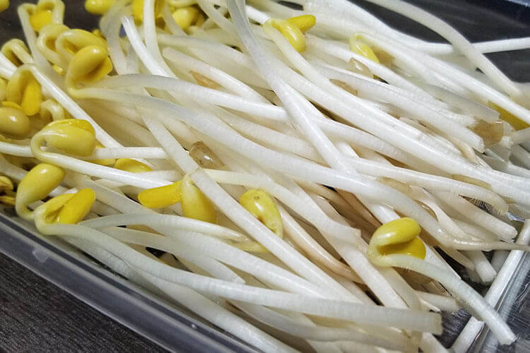 豆芽有酒味，请问还敢吃吗？