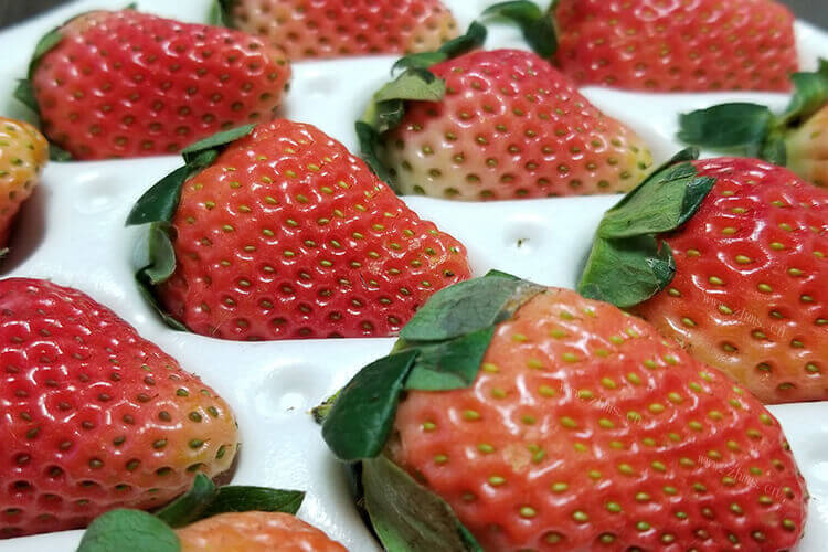 买了一些草莓，不知道草莓布丁怎么做简单又好吃？