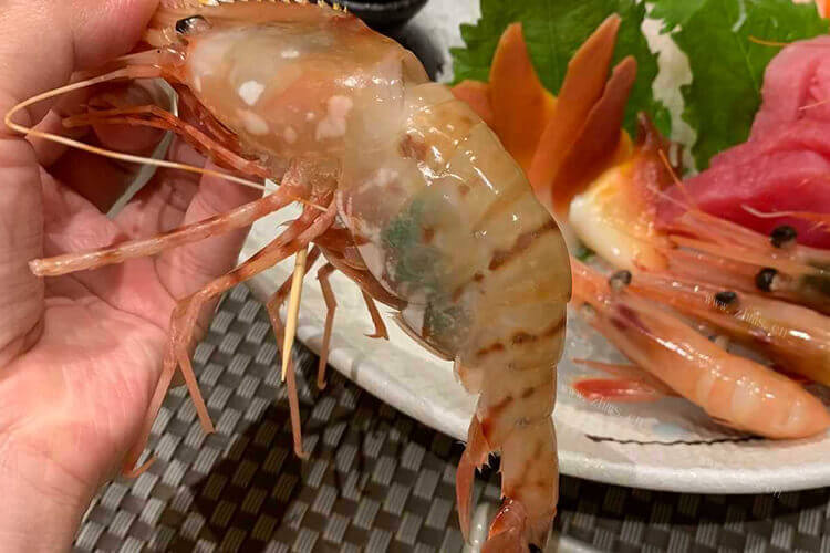 我想煮小地瓜，小地瓜煮多久能熟？