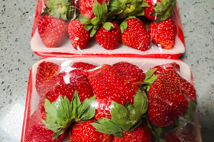 一年的四个季节里，为什么现在都是冬天吃草莓?