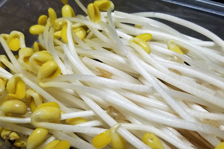 酸辣豆芽挺好吃的，大家知道怎么做吗？