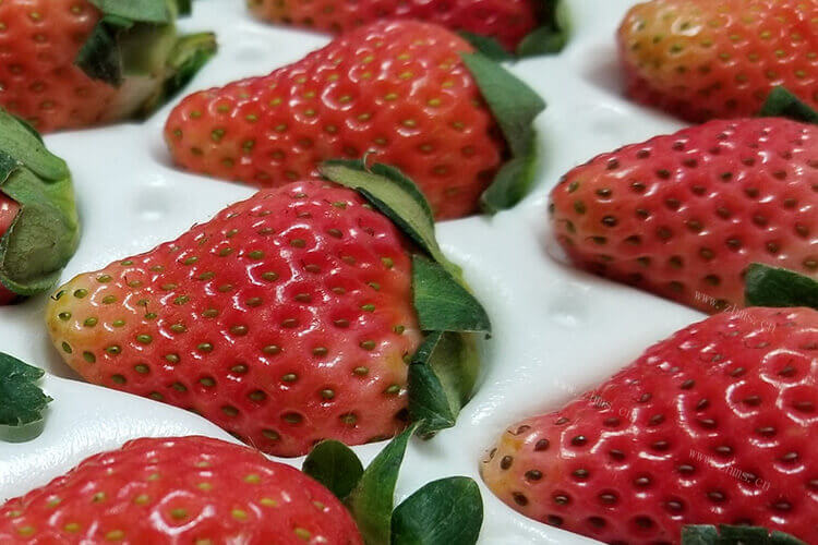 想养殖一些白草莓赚钱，白草莓苗什么品种最好吃？