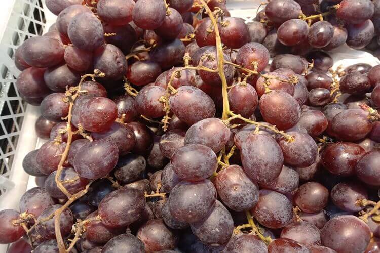 想买一些葡萄来吃，红提子葡萄贵吗？