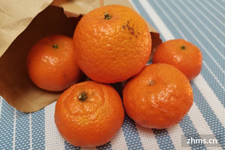 桔子和橙子和橘子的区别