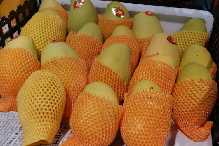 海南芒果特别好吃，三月份海南有芒果吗？