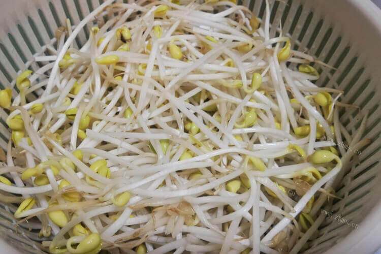 准备用豆芽来炒米粉吃，炒米粉用黄豆芽还是绿豆芽？