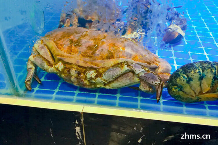 一斤半左右的大面包蟹蒸多长时间