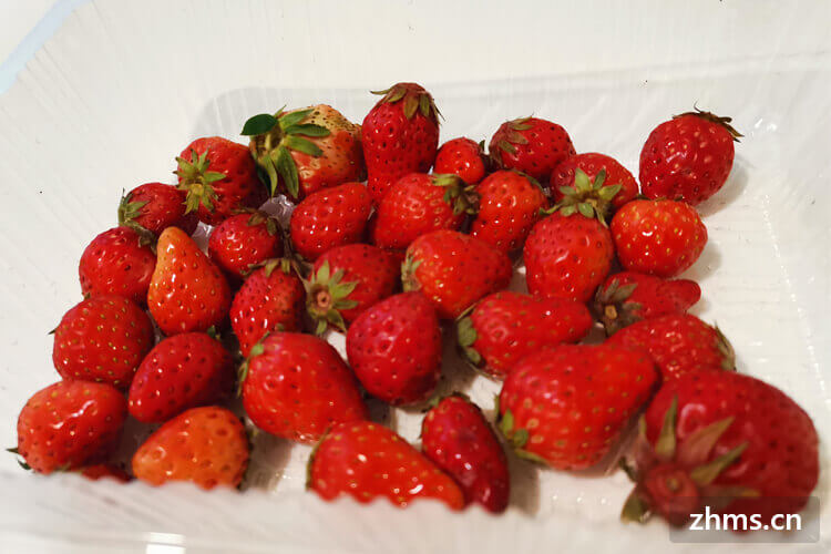 种草莓种子需要泡水吗