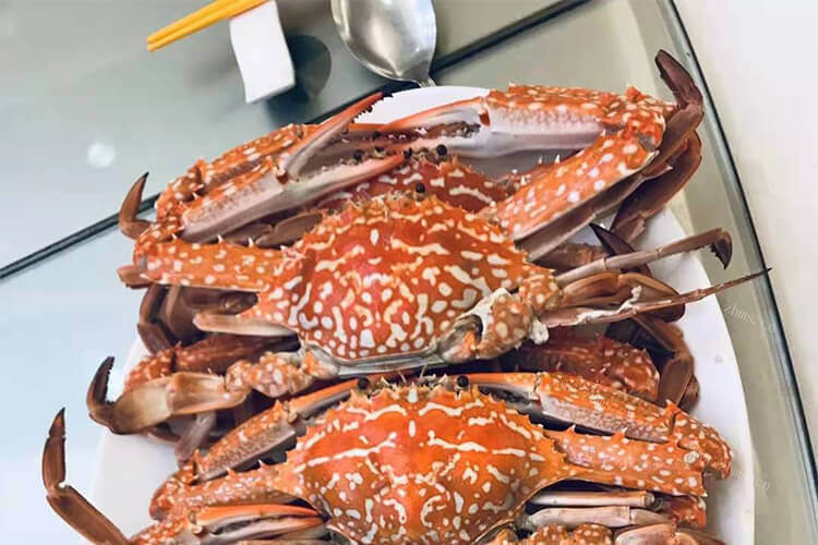 买了一些螃蟹，请问红蟹螃蟹如何养不容易死？