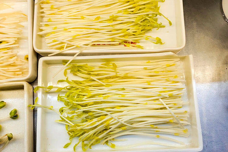 我很少买豆芽，想要知道豆芽可以冷冻保存吗？