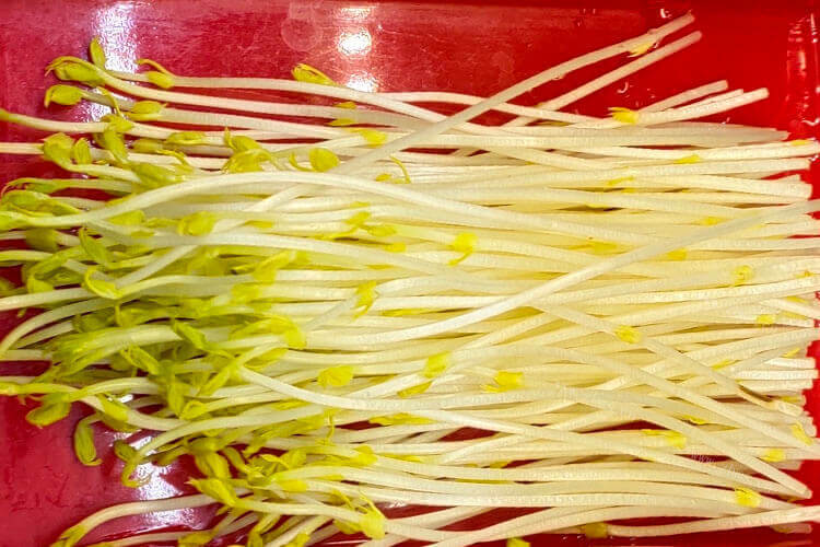 准备用豆芽来炒米粉吃，炒米粉用黄豆芽还是绿豆芽？
