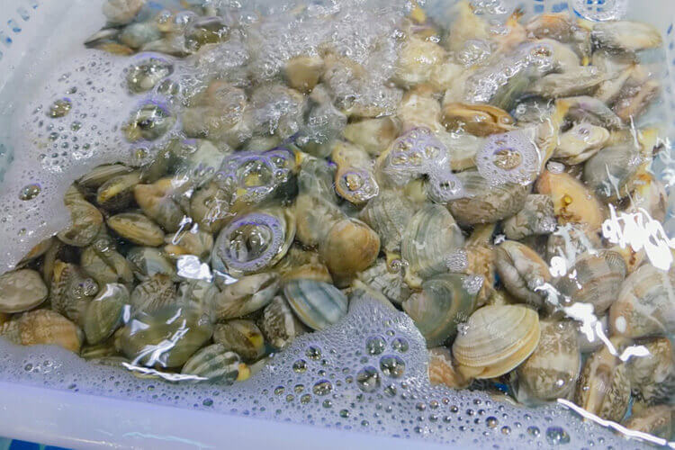 买了一点儿菜，花甲顿冬瓜怎么做好吃