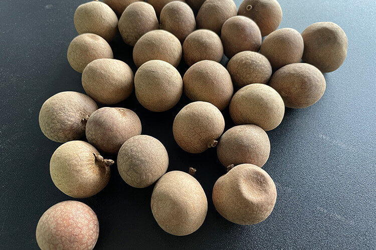 要买些干桂圆回来，干桂圆6a和8a的区别是什么