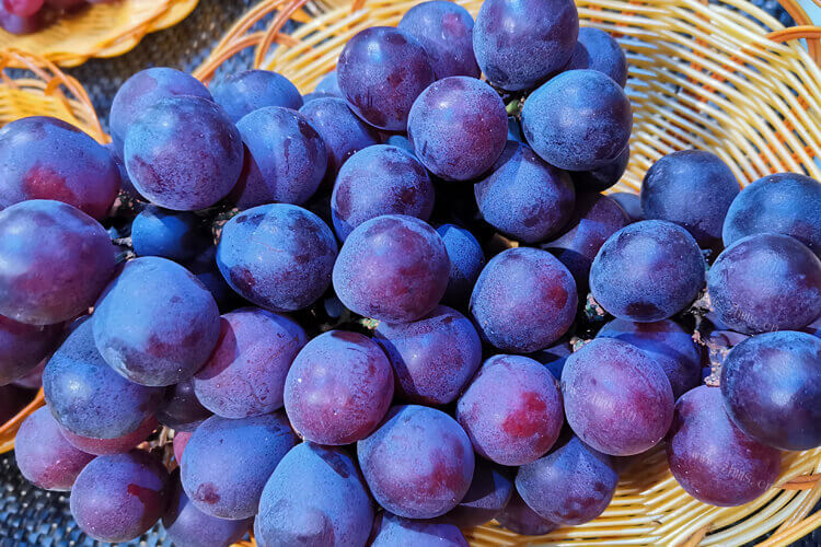 感觉葡萄和提子长的很像，提子和葡萄区别在哪？