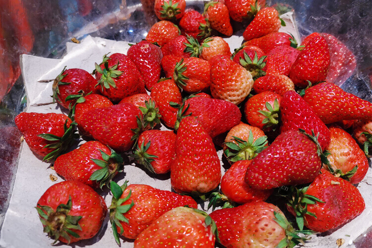 草莓没泡盐水可以吃吗？在草莓园刚摘的草莓，想吃一点