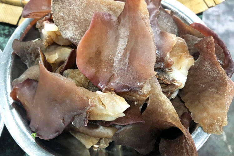 今天买了木耳，请问木耳焯水几分钟能熟？