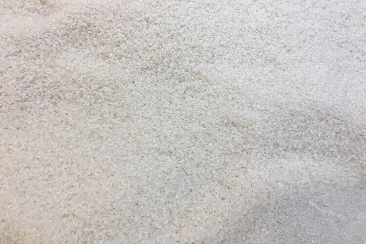 家里面只有黑米，黑米可以替代大米吗？