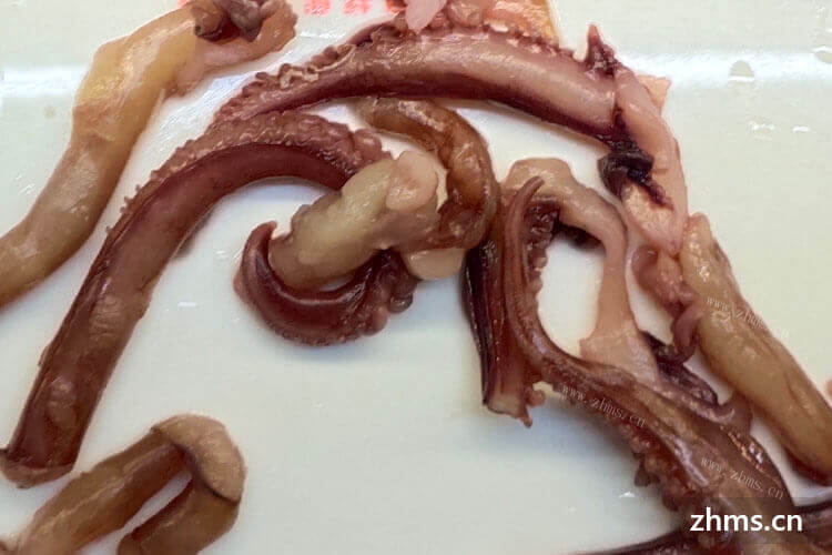 红鱿鱼和白鱿鱼区别