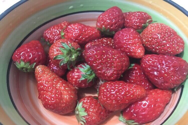 买了一些牛奶草莓，牛奶草莓和普通草莓哪个好吃？