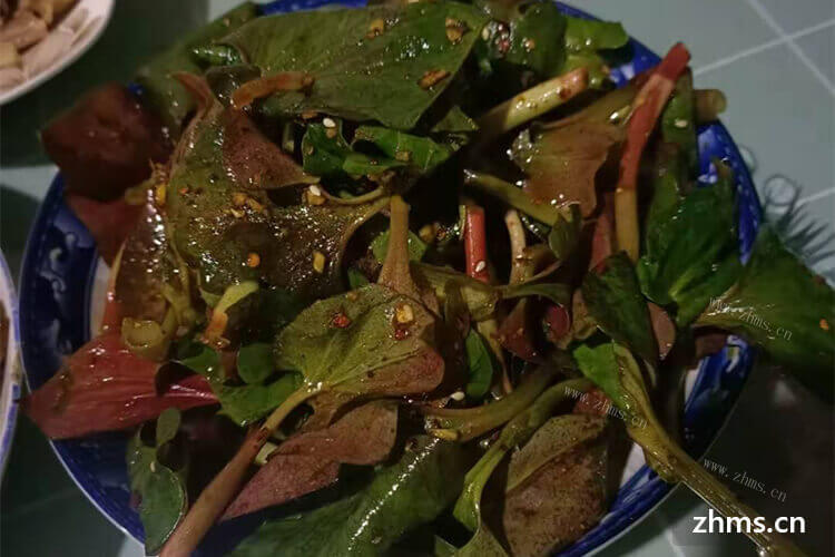 特色的餐厅，怎么做呢？连锁特色餐厅加盟什么品牌比较好？