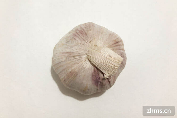 不用面粉可以做什么样的美食 不用面粉可以做什么样的美食