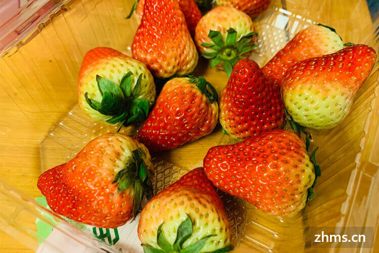 草莓怎么洗和保存