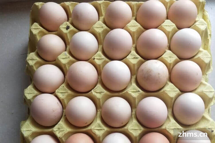 鸡蛋有保质期多久