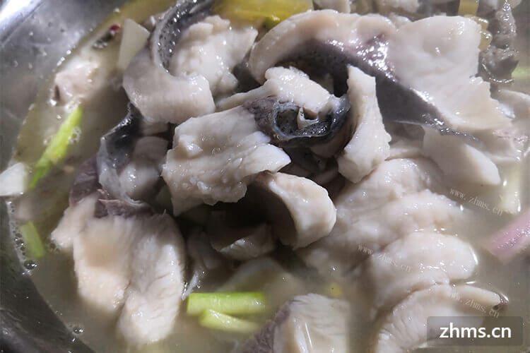 南京十大酸菜鱼加盟品牌在网上能查到吗