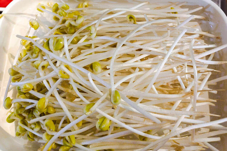 一斤豆子可以出多少豆芽呢？买了一斤黄豆，打算自己做豆芽