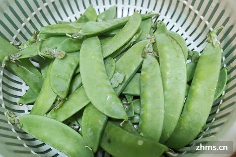 荷兰豆与眉豆的区别
