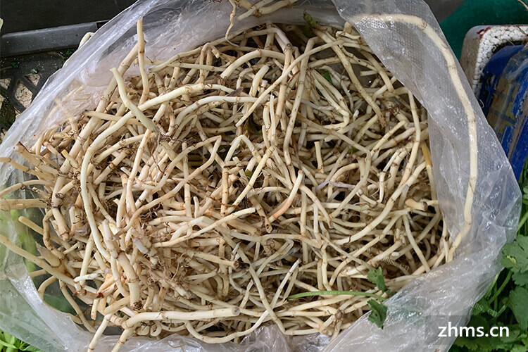 折耳根可以晒干保存吗