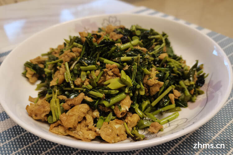 呼和浩特中餐底料招商加盟详情好查询吗