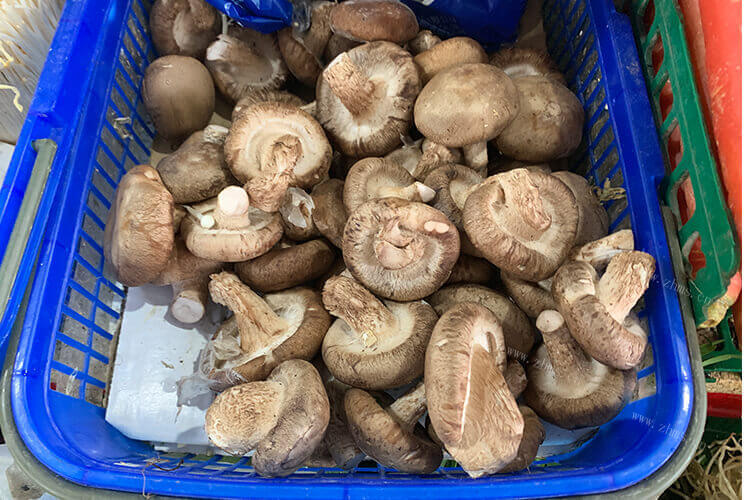 买了些蘑菇，想问一下蘑菇炒油菜怎么好吃？