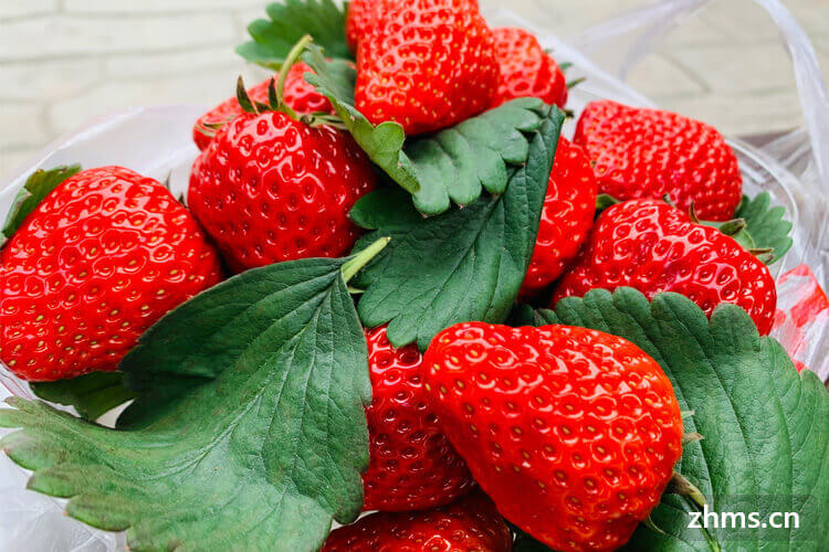 北方草莓什么季节成熟