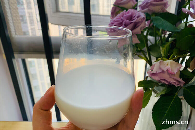 一天喝几杯牛奶最合适