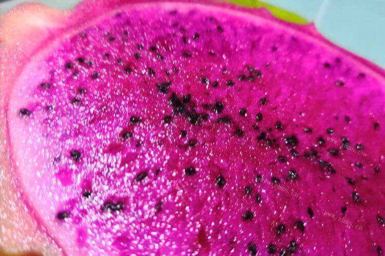 有一种水果做成的果饮，饮料里像火龙果籽的是什么？