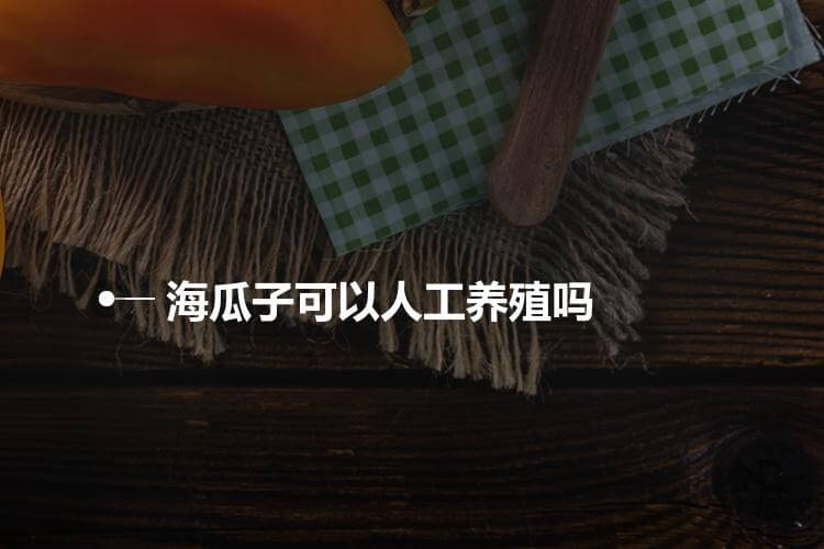 海瓜子可以人工养殖吗