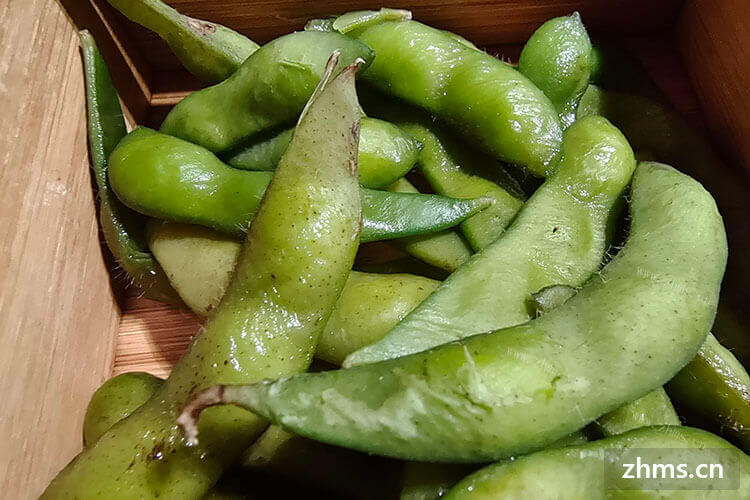 加盟小吃品牌可以吗，品牌力度大不？
