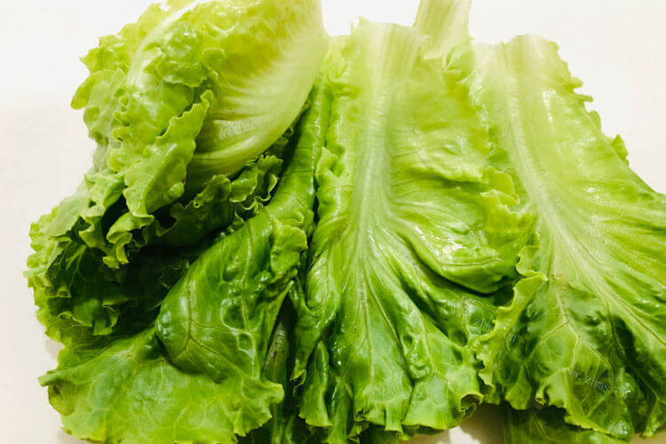 没有买过500g的生菜，有点好奇生菜500克有多少？