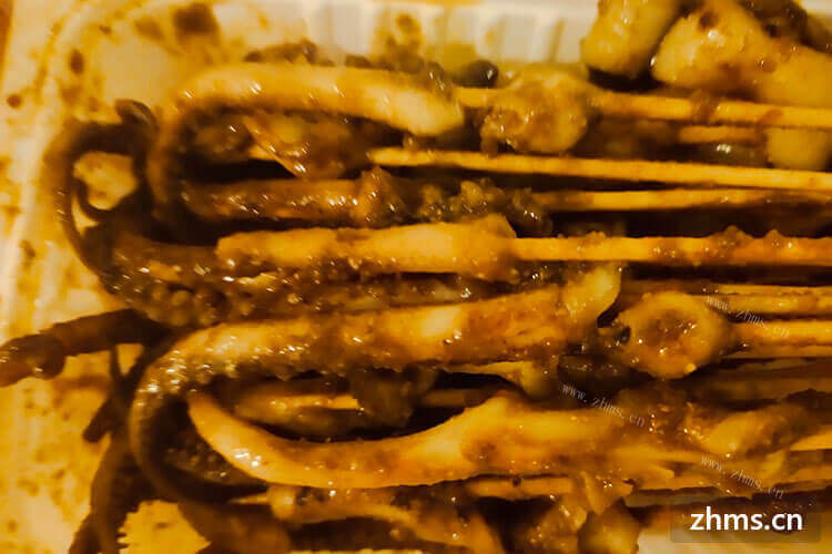 烧烤加盟店排行榜前十名的品牌新手可以加盟吗