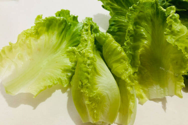 买了一些奶油生菜，奶油生菜玻璃生菜区别是什么？