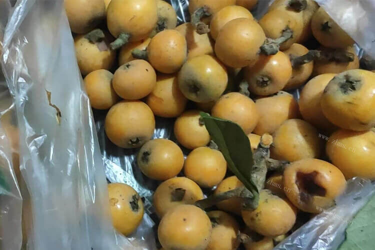 枇杷果的味道在成熟和未熟是不一样的，请问枇杷果好吃吗什么味道