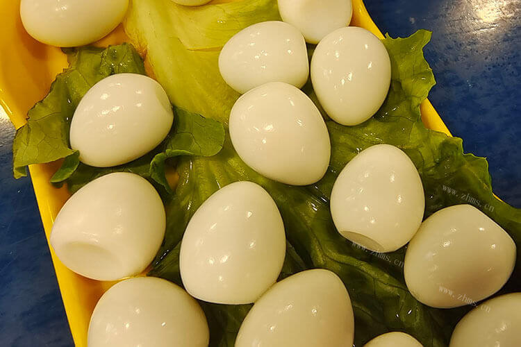 准备买点鸟蛋吃，鹧鸪蛋和鹌鹑蛋哪个大呢？