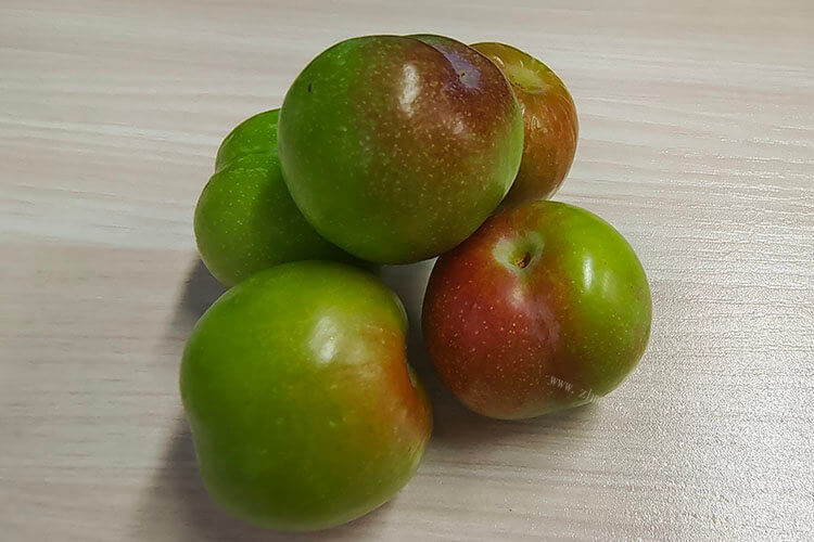 我买了一颗李子，一颗李子有多重？