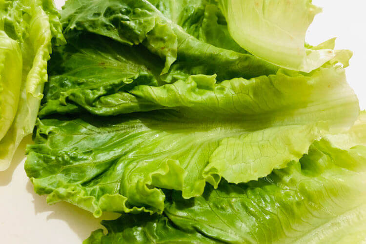 罗马生菜口感怎么样，和奶油生菜哪个好吃？
