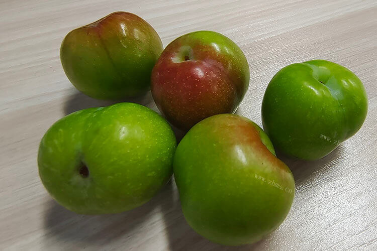 就喜欢吃酸甜味道的李子果，酸甜的李子品种有哪些？