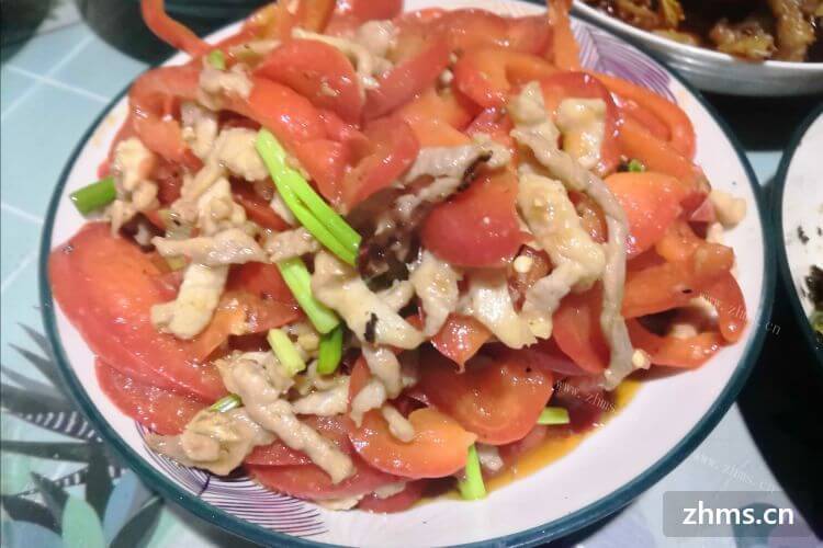 呼和浩特中餐加盟店可以选小碗菜项目吗？哪家比较好呢？