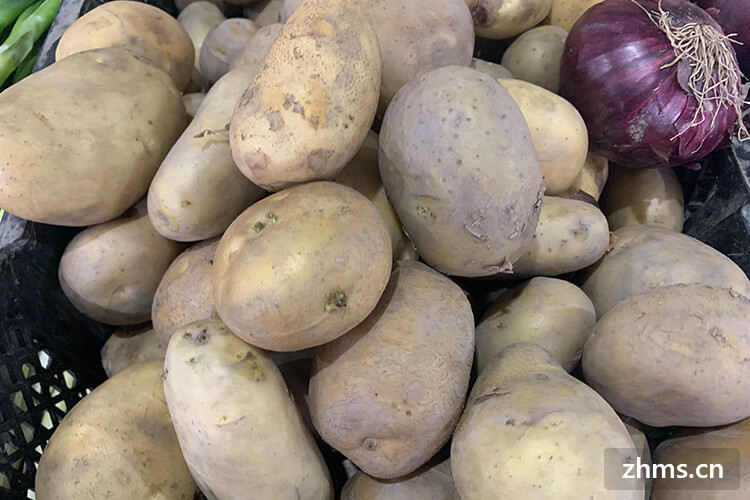 土豆都可以怎么做