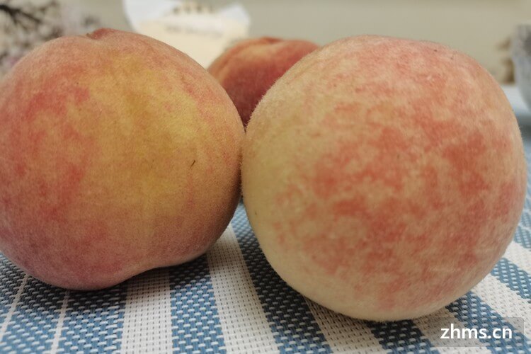夏季水蜜桃放在哪里保存 夏季水蜜桃放在哪里保存