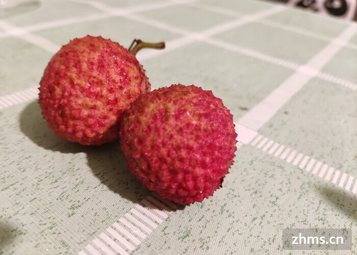 荔枝最早熟是什么品种 荔枝最早熟是什么品种